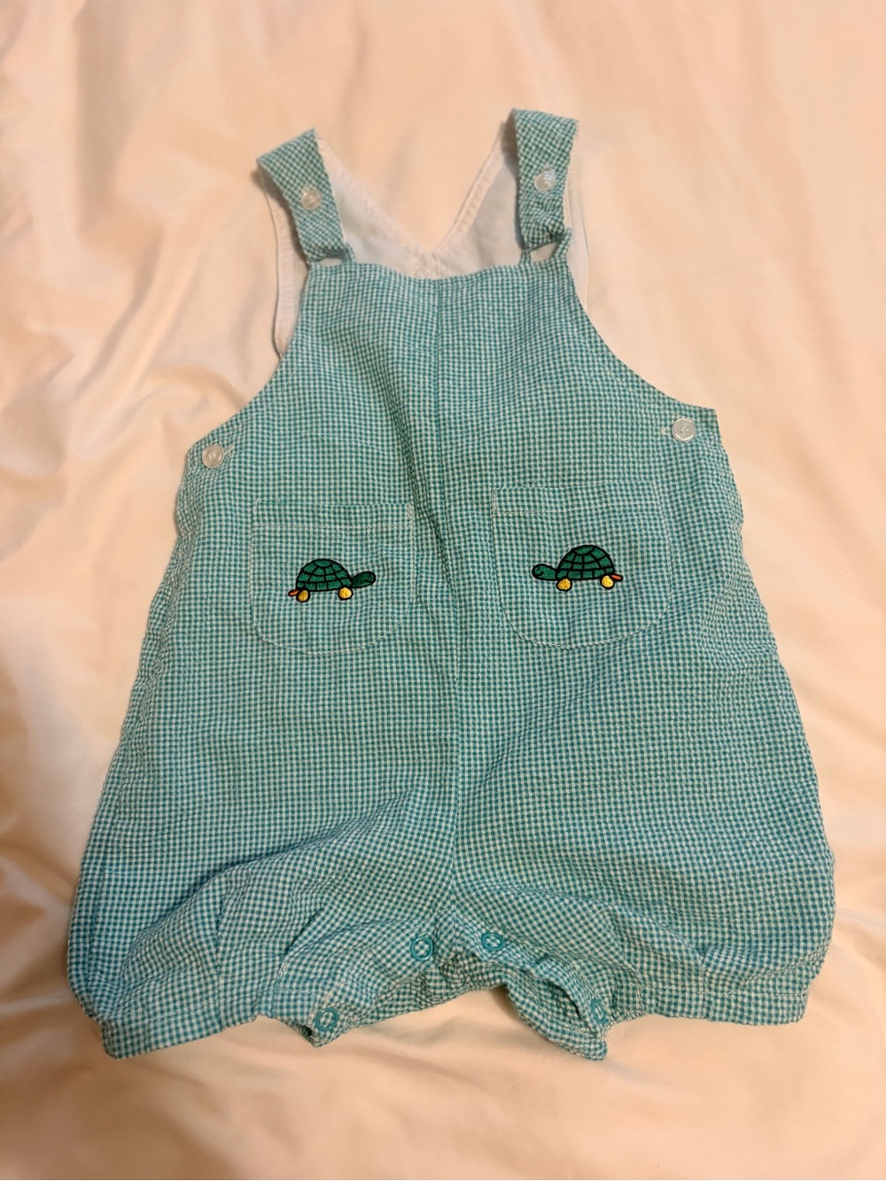 The Children's Place Blue-Green Gingham Overalls with Turtle Pockets
